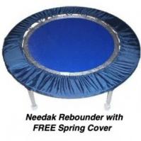 needakblueFreeSpringCvr300x300.jpg